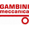 Gambini